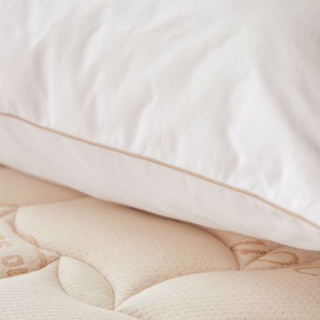 Oreiller Plumes et Duvet Naturel 