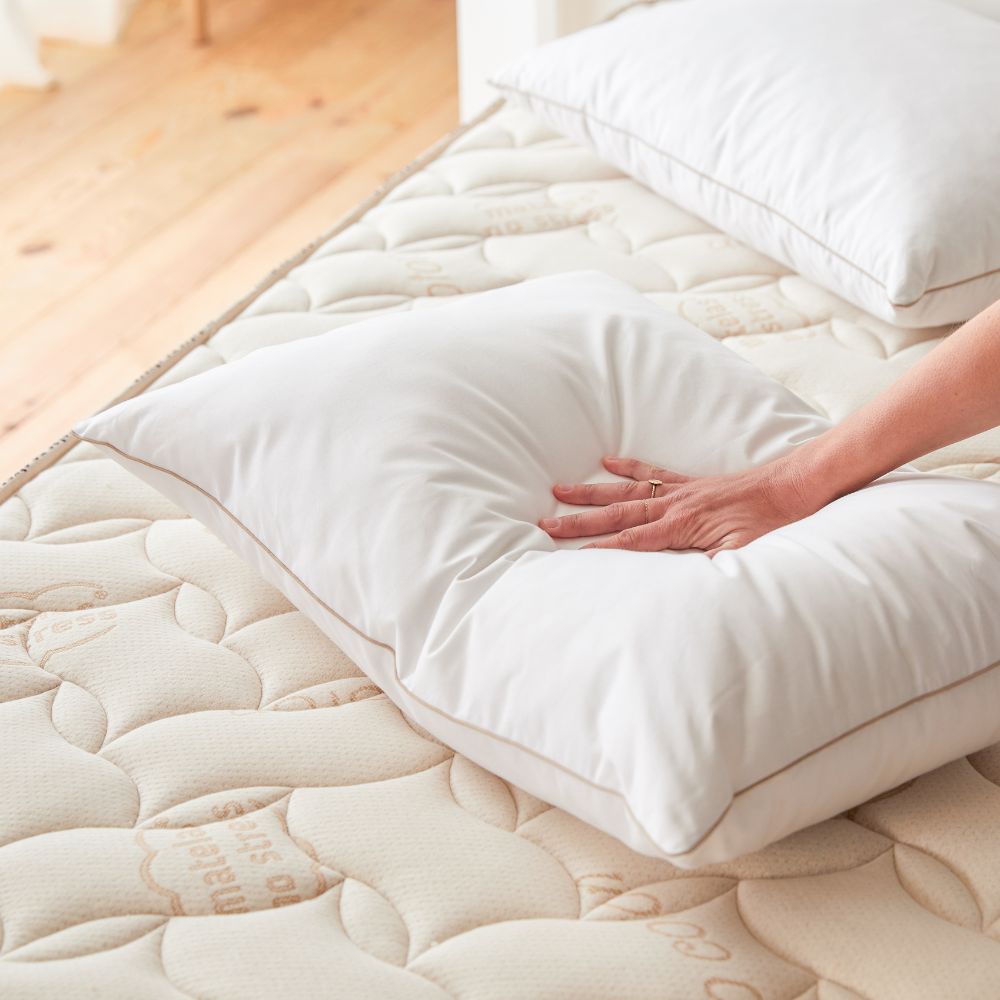 Oreiller duvet plumes